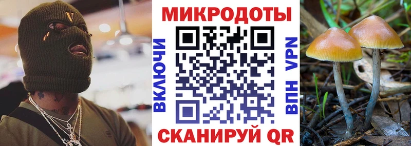 blacksprut онион  Нестеровская  Галлюциногенные грибы Cubensis 
